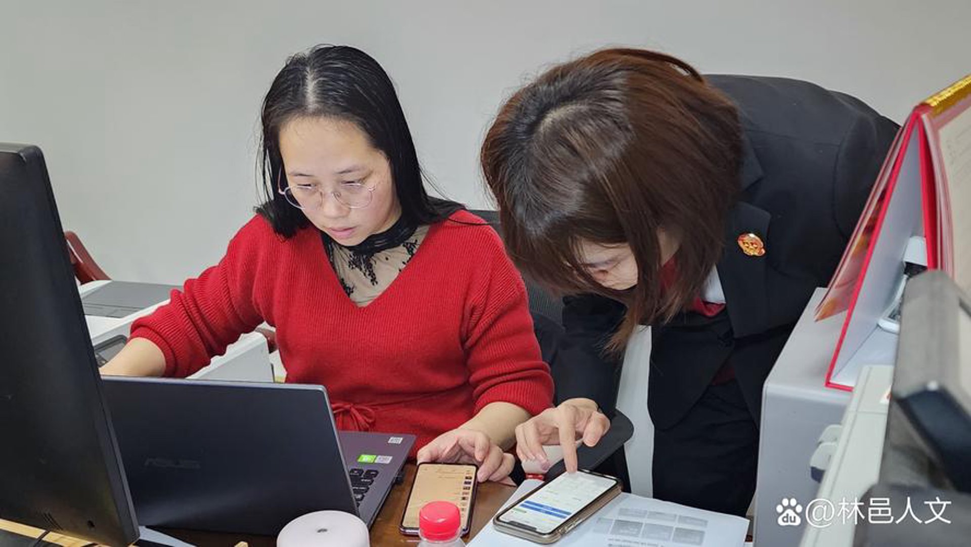 枫月网络科技