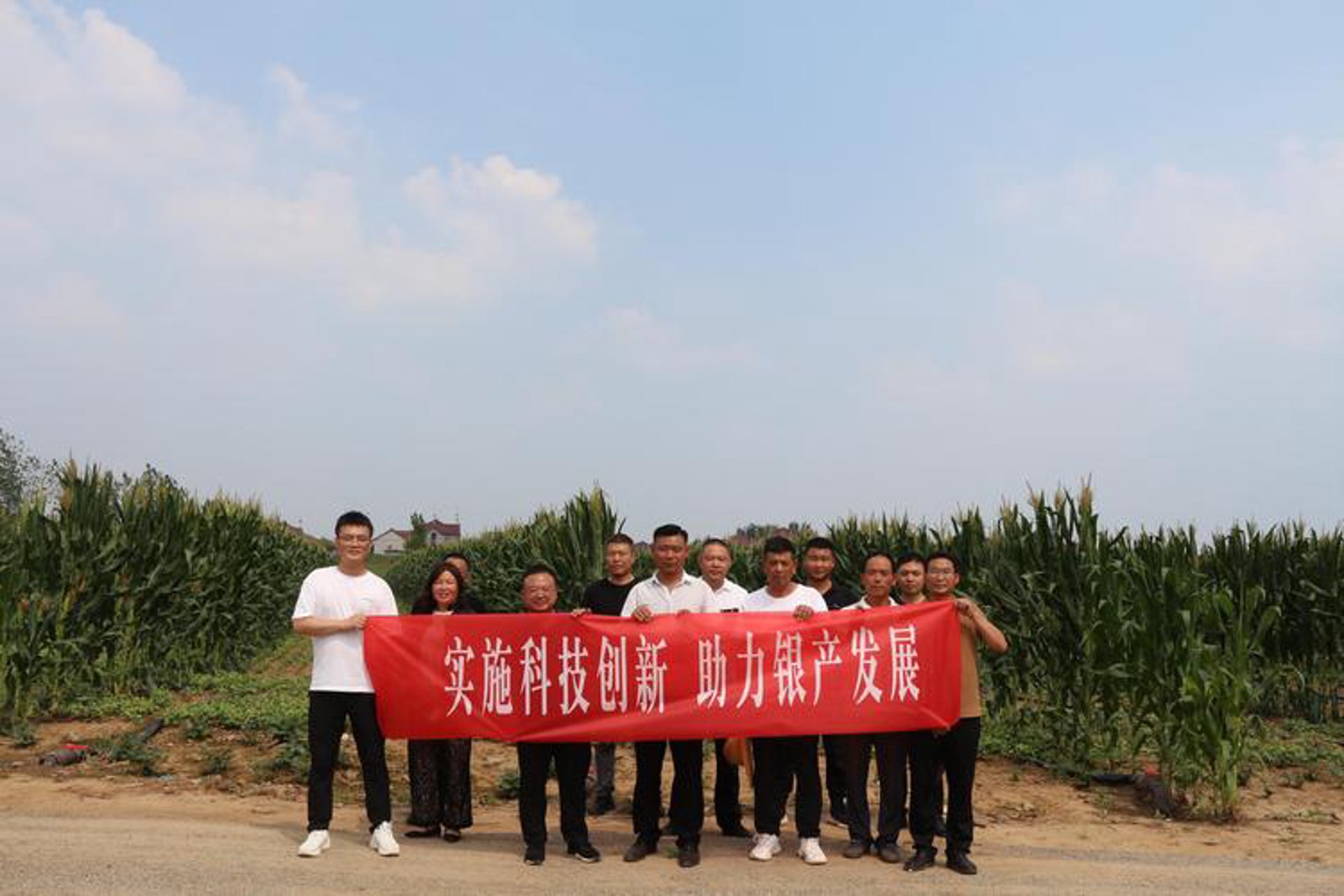 枫月网络科技